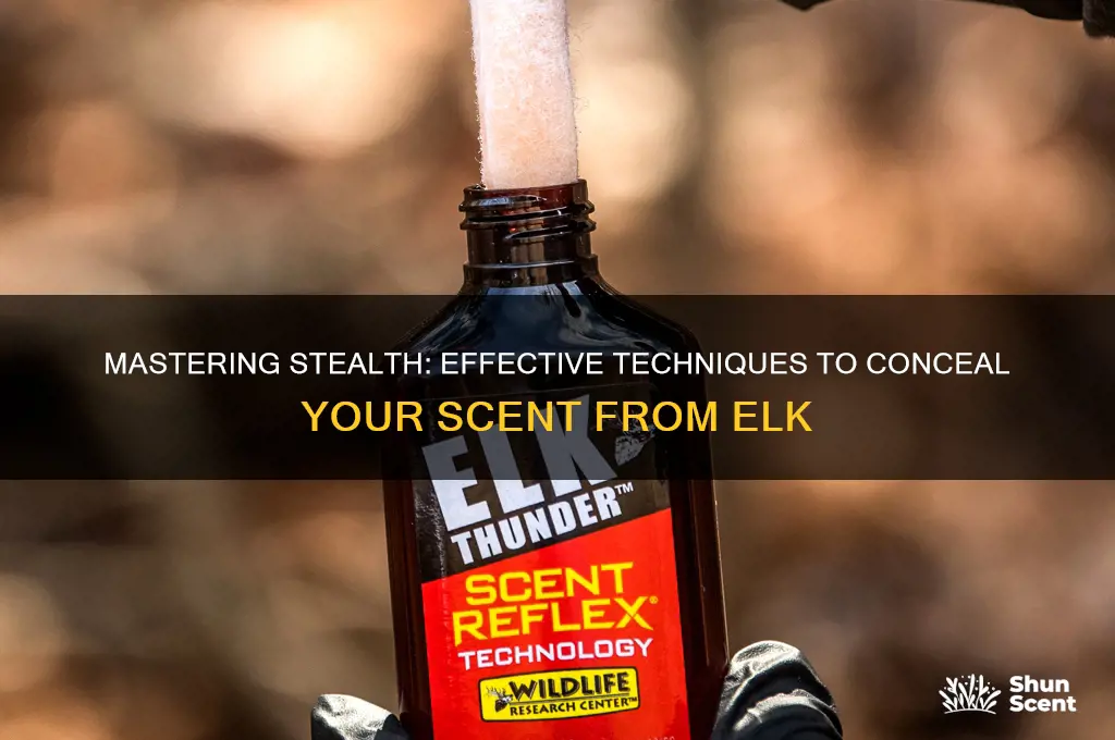 how to cover your scent from elk