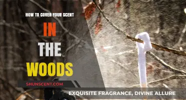Mastering Stealth in Nature: Effective Tips to Mask Your Scent in the Woods