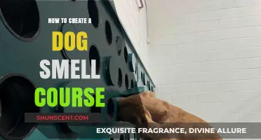 Crafting Canine Scents: A Guide to Creating Dog Smell Courses