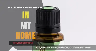 Crafting a Fresh Pine Aroma: Natural Home Fragrance Tips