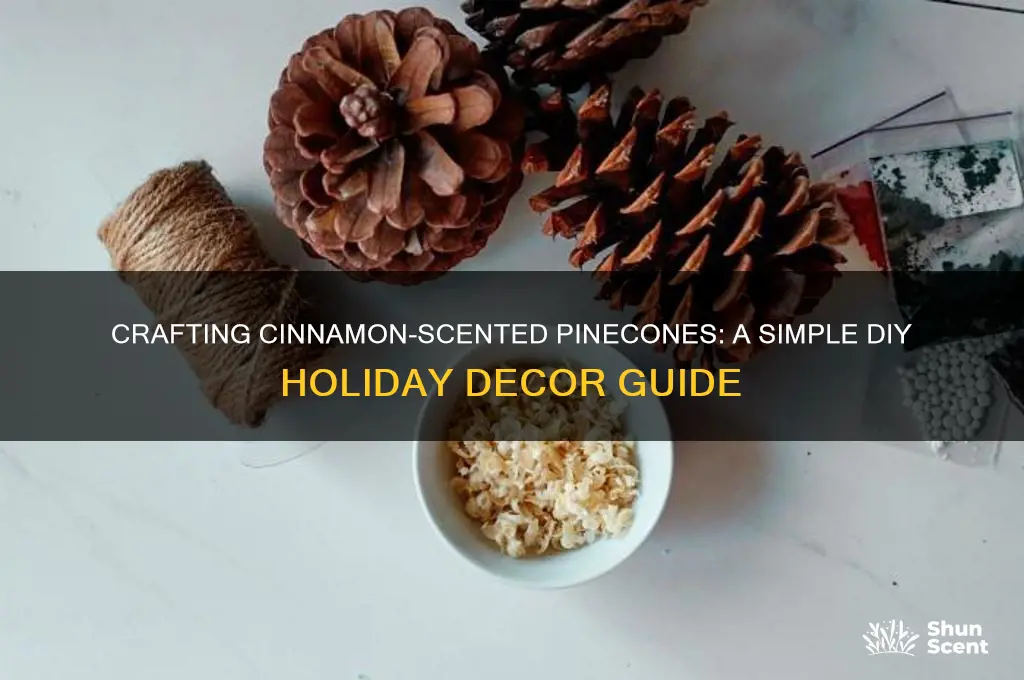 how to create cinnamone scented pinecones