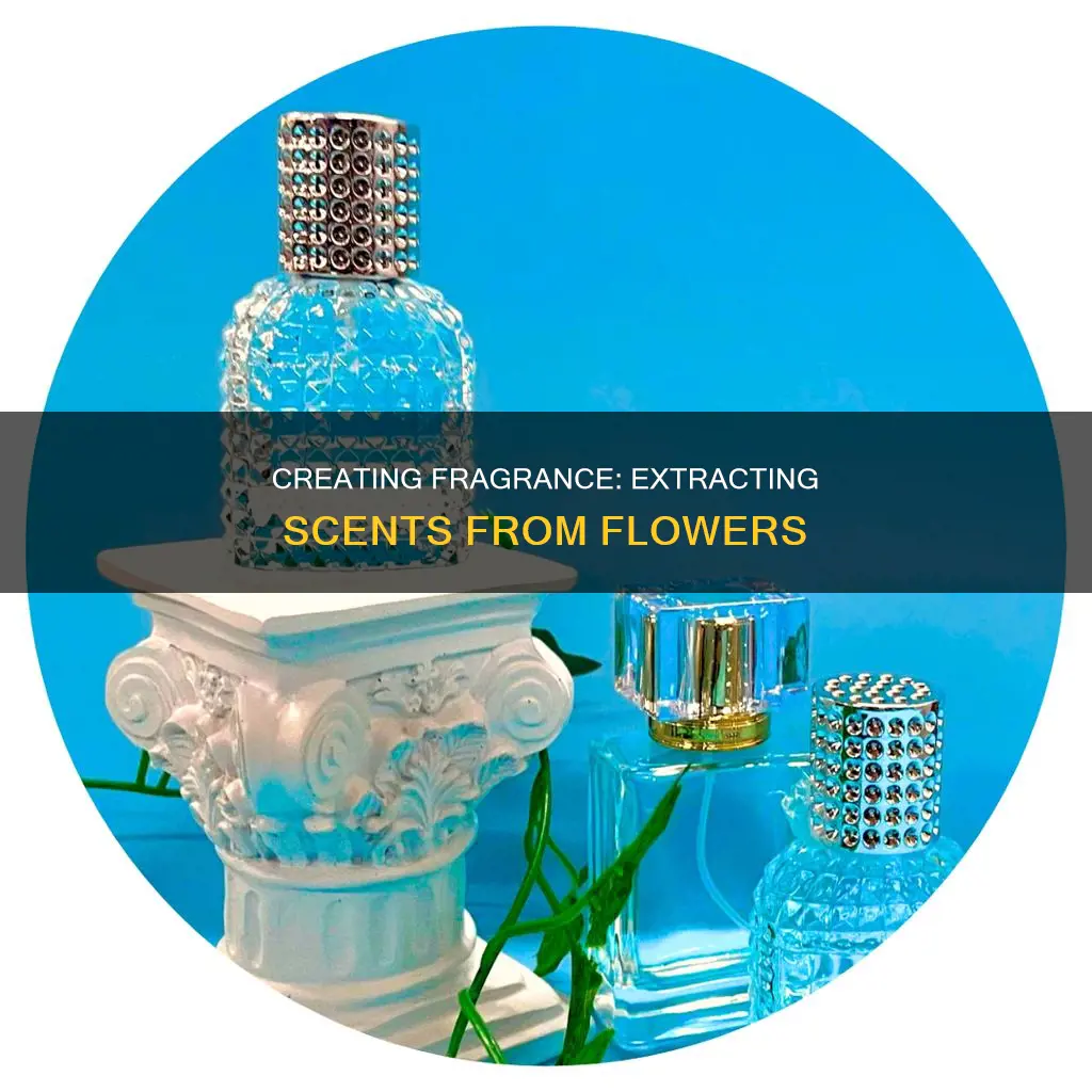 how to create perfume from flowers