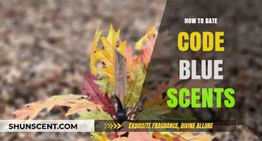 Mastering the Art of Dating Code Blue Scents: A Comprehensive Guide