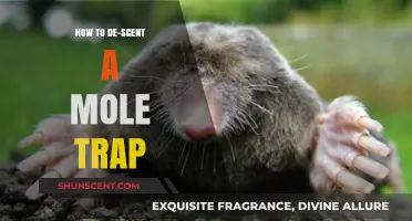 Effective Mole Trap De-Scenting: A Step-by-Step Guide for Success