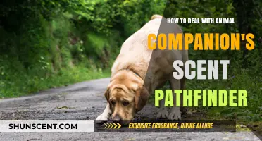Mastering Your Animal Companion's Scent Ability in Pathfinder: Tips and Tricks