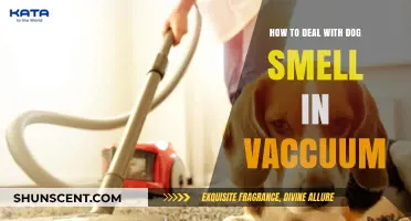 Freshen Up Your Home: Tackling Dog Smell in Your Vacuum