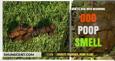 Effective Ways to Tackle Neighbor's Dog Poop Odor
