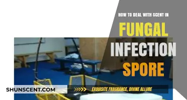 Managing Fungal Infection Spore Odors: Effective Strategies for Freshness