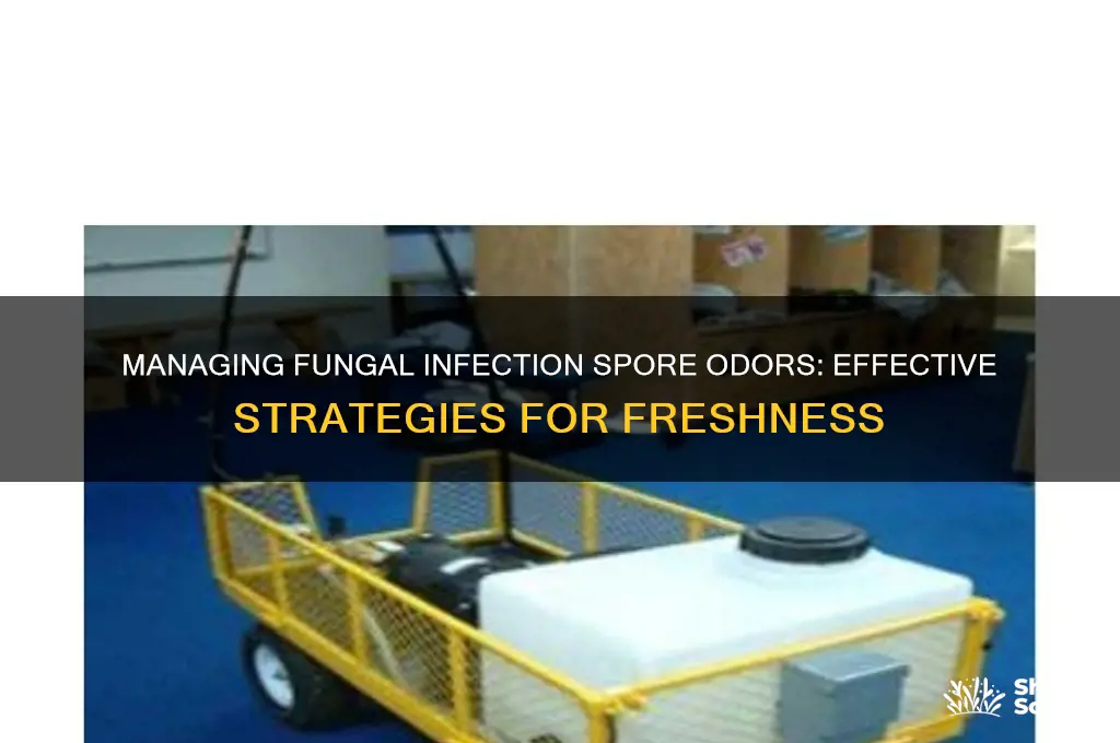 how to deal with scent in fungal infection spore