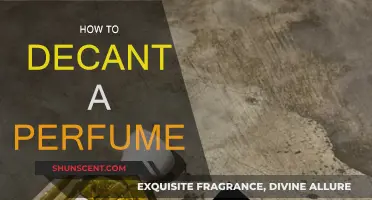 The Art of Decanting: A Guide to Perfumes