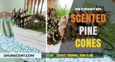 Enhance Your Home with Fragrant Pine Cone Decor Ideas