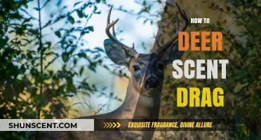 Mastering Deer Scent Dragging: Proven Techniques for Hunting Success