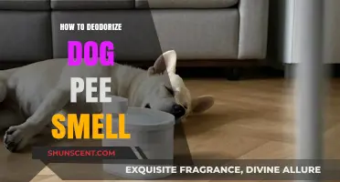 Freshen Up: Effective Ways to Eliminate Dog Pee Odor