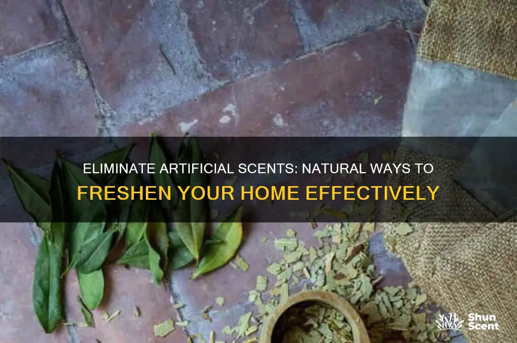 how to deodorize home from artificial scents