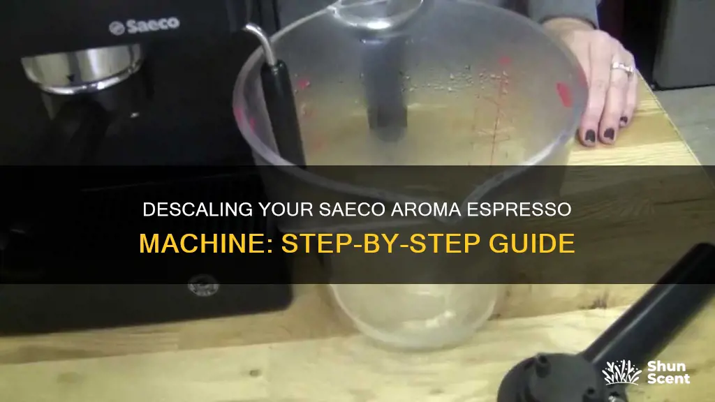 how to descale saeco aroma espresso machine