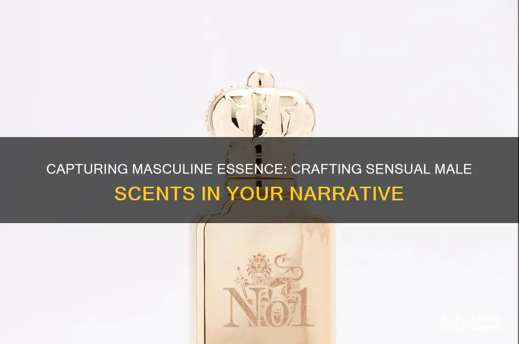 how to describe a male sex scent in a story