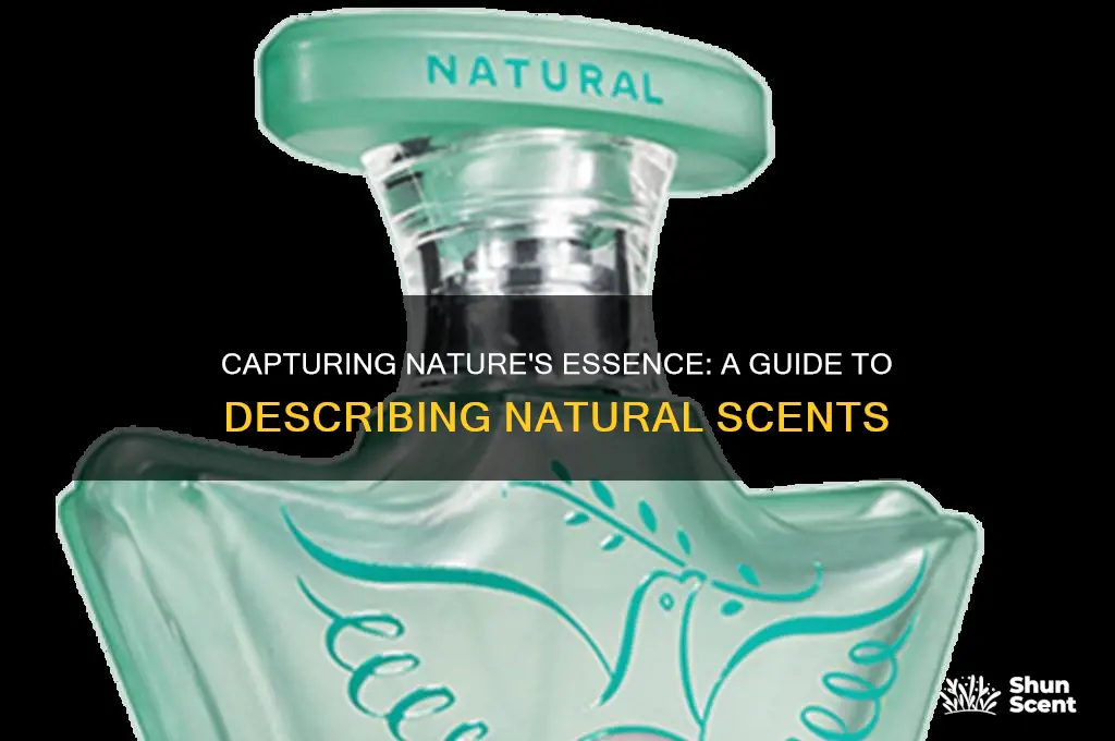 how to describe a natural scent