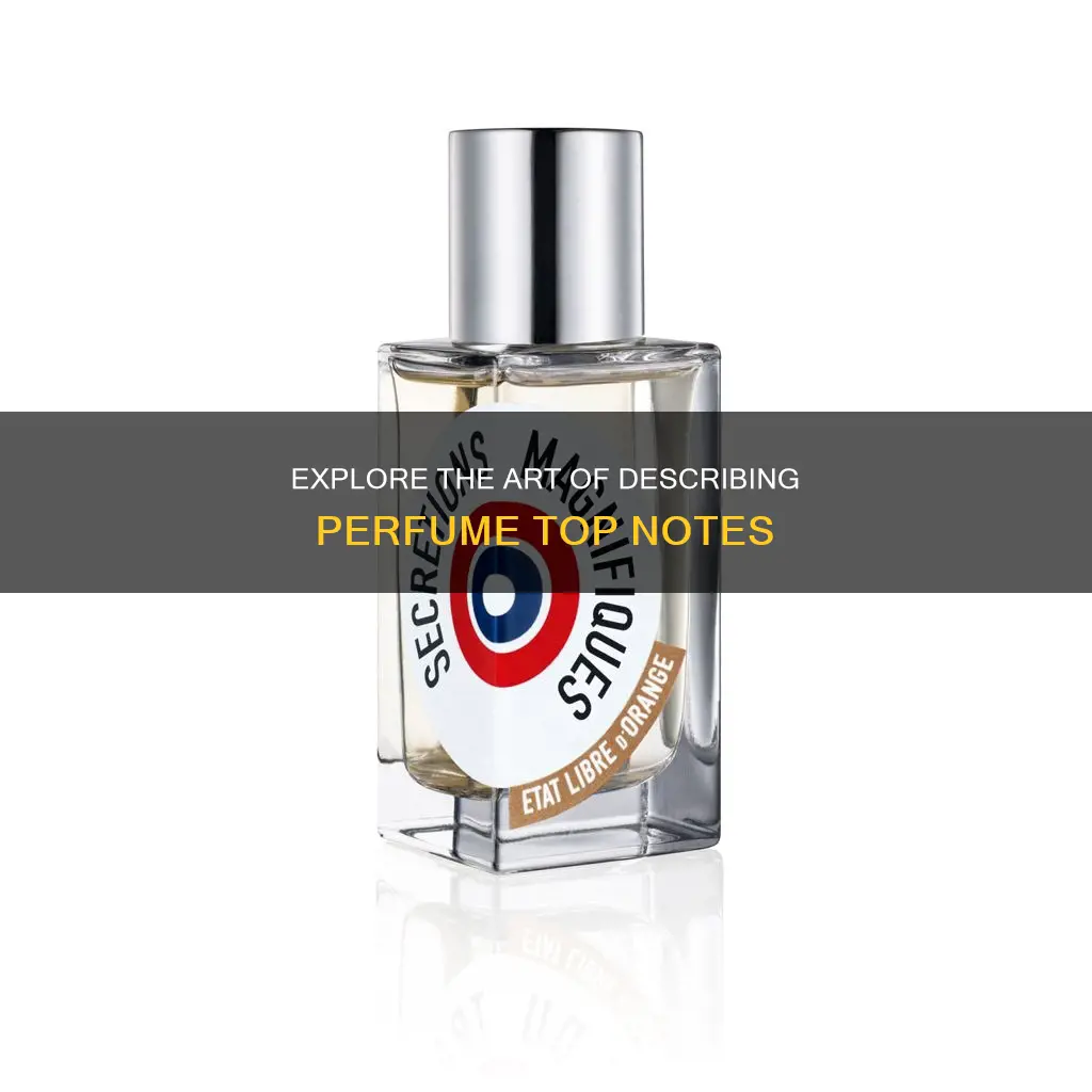 how to describe a perfume top note