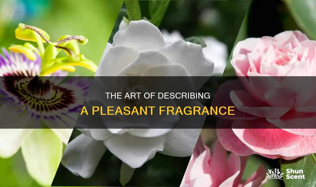 how to describe a pleasent fragrance