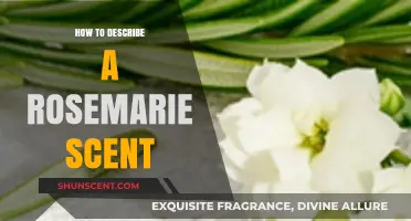 Captivating Rosemarie Scent: A Guide to Describing Its Unique Aromatic Notes