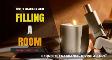 Capturing Aromas: Articulating the Essence of a Scent-Filled Room