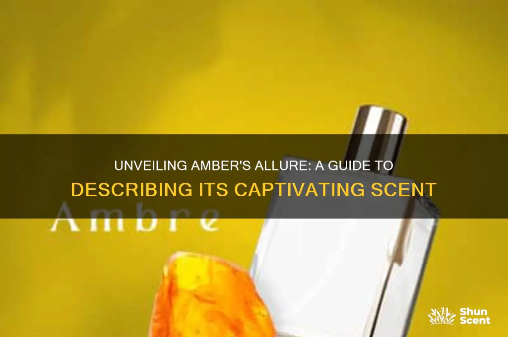 how to describe amber scent