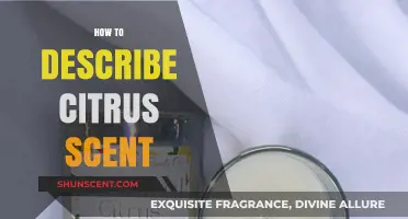 Capturing the Essence: How to Describe the Vibrant Citrus Scent