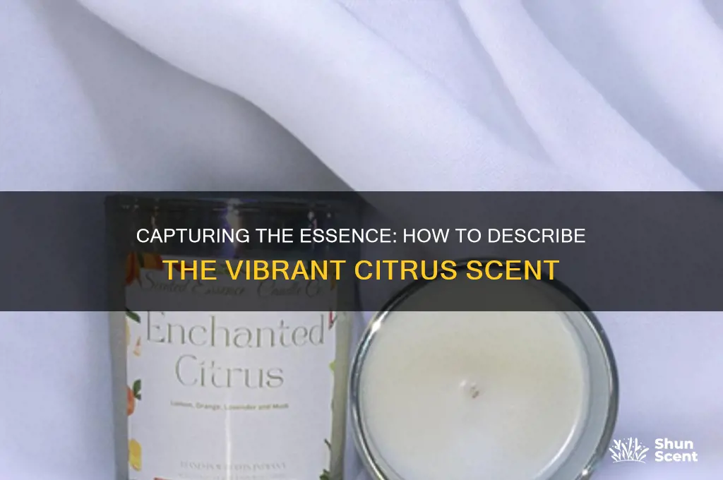 how to describe citrus scent