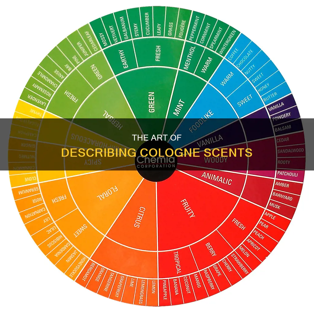 how to describe cologne scents