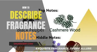 Unraveling the Language of Scent: A Guide to Fragrance Notes