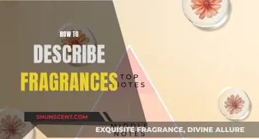 Mastering the Art of Fragrance Description: A Guide to Capturing Scent Stories