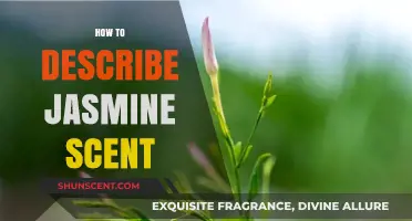 Captivating Jasmine: Unveiling the Alluring Aromatic Notes of Its Scent
