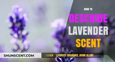 Captivating Lavender Aroma: Unveiling the Delicate, Soothing Scent Profile