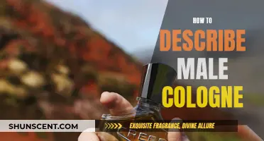 The Art of Describing Male Colognes: A Guide