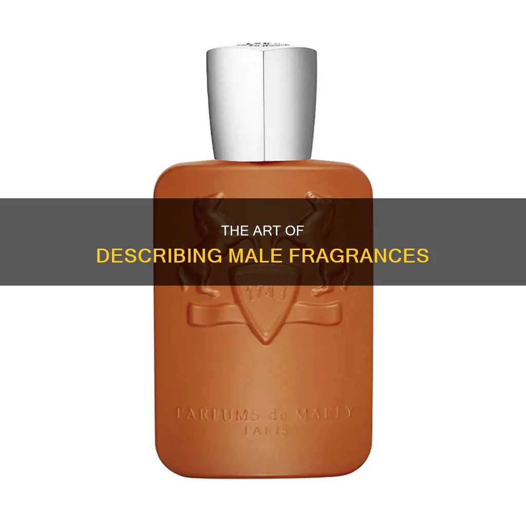 how to describe male fragrance
