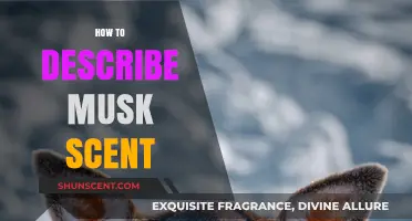Unveiling Musk's Allure: A Guide to Describing Its Unique Scent