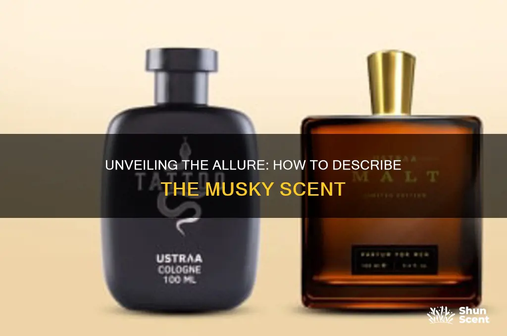 how to describe musky scent