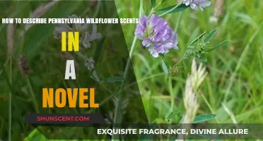 Capturing Pennsylvania's Wildflower Scents in Your Novel: A Guide