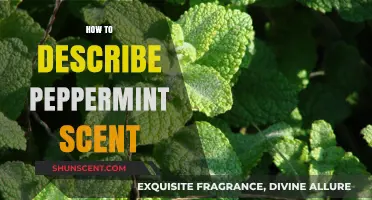 Captivating Peppermint Aroma: Unveiling the Refreshing Scent's Unique Notes and Charm