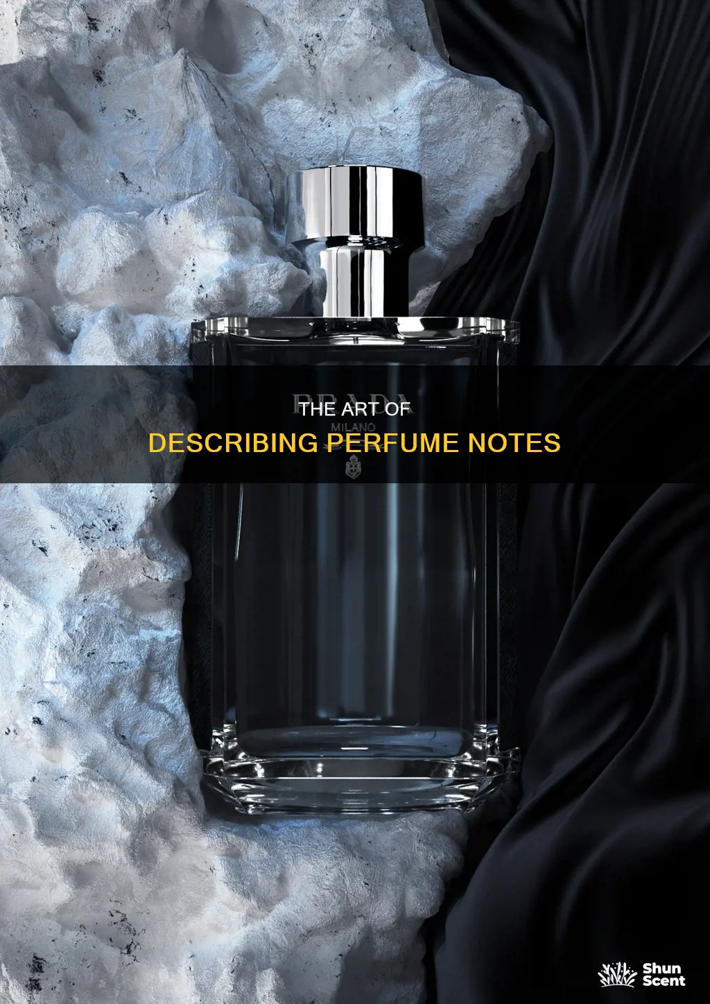 how to describe perfume notes