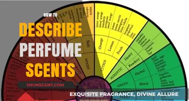 Mastering the Art of Describing Perfume Scents: A Comprehensive Guide