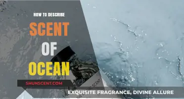 Capturing the Ocean's Essence: A Guide to Describing Its Unique Scent