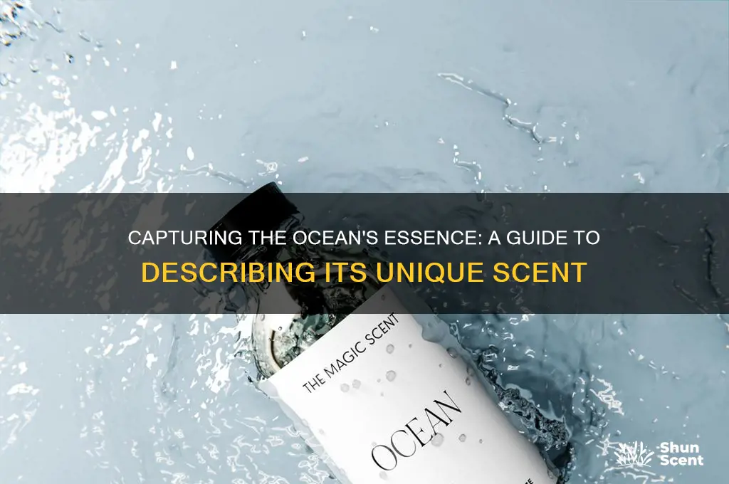 how to describe scent of ocean
