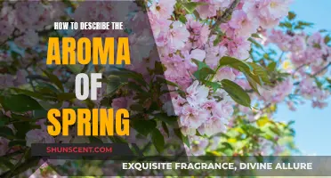 Spring Scents: Capturing the Essence of the Season