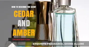 Unveiling the Warm, Woody Allure of Cedar and Amber Scents
