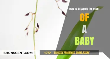 Capturing the Essence: Describing a Baby's Unique, Heavenly Scent