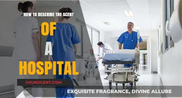 Capturing the Complex Aroma of Hospitals: A Scent Description Guide