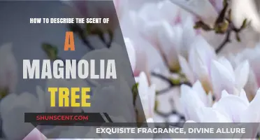 Captivating Magnolia Scents: A Guide to Describing Their Unique Aroma