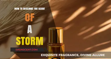 Capturing the Aroma of Storms: A Guide to Describing Nature's Scent