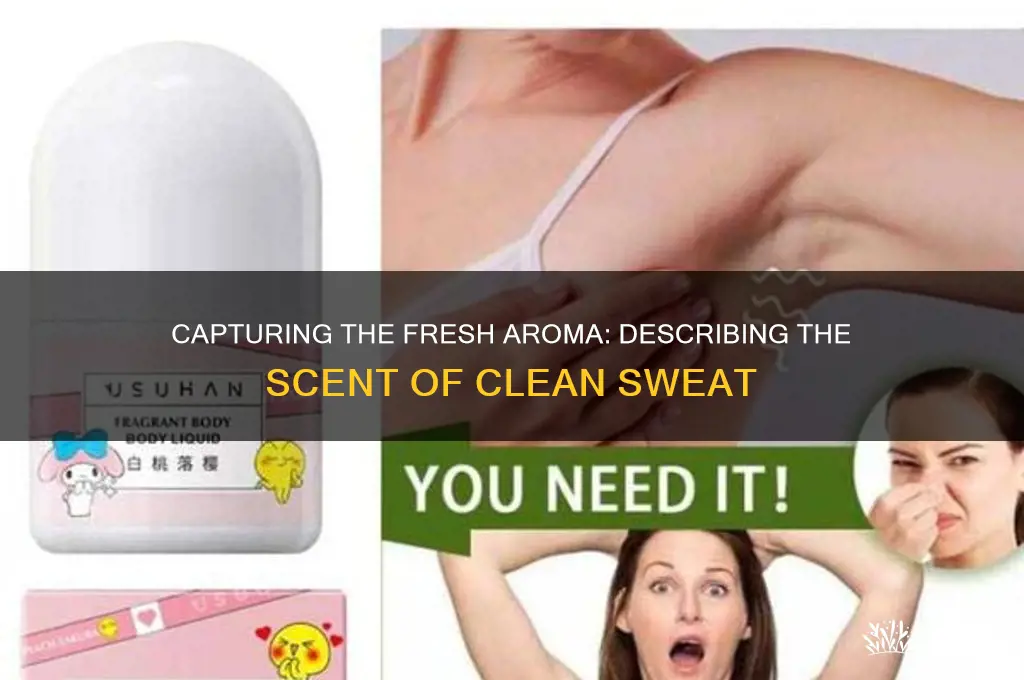 how to describe the scent of clean sweat